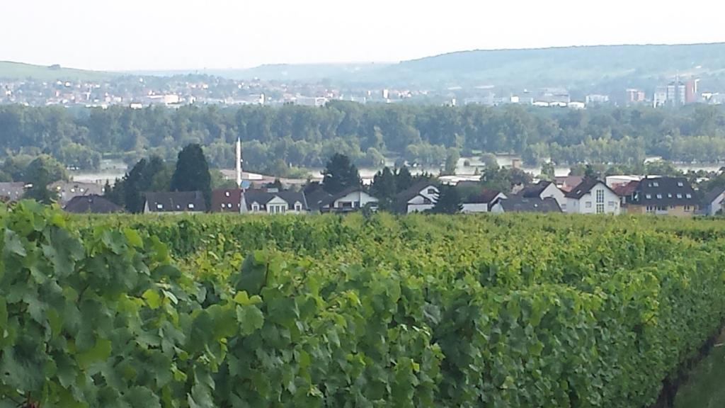 Ferienwohnung Weingut Leis Йострих-Винкел Стая снимка