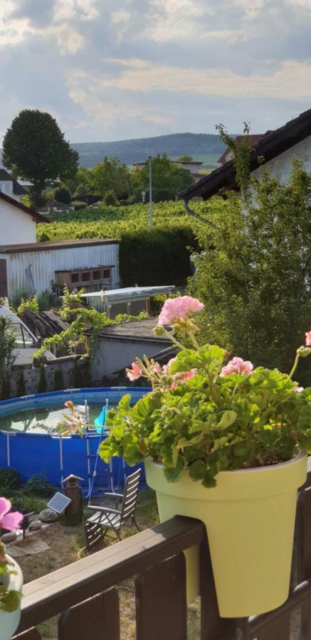 Ferienwohnung Weingut Leis Йострих-Винкел Екстериор снимка